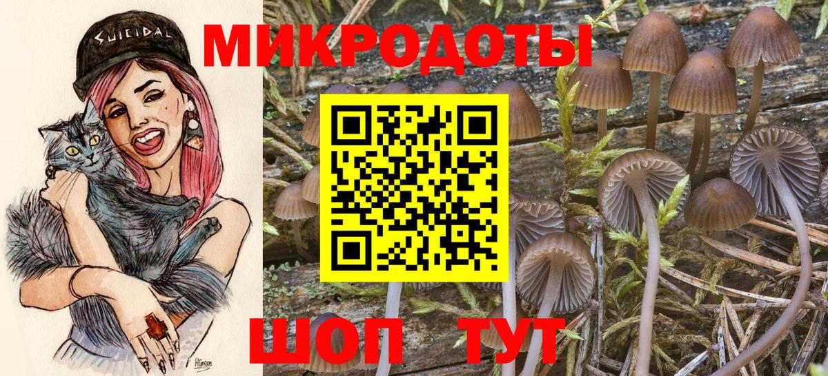 Ессентуки  купить наркоту  Вход с VPN  Галлюциногенные грибы Psilocybe  Псилоцибиновые грибы Cubensis 